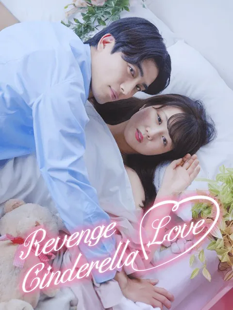 Revenge Cinderella Love