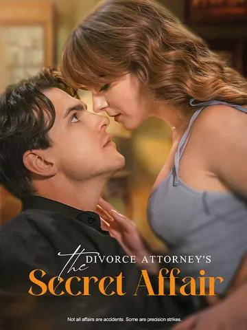 The Divorce Attorney's Secret Affair