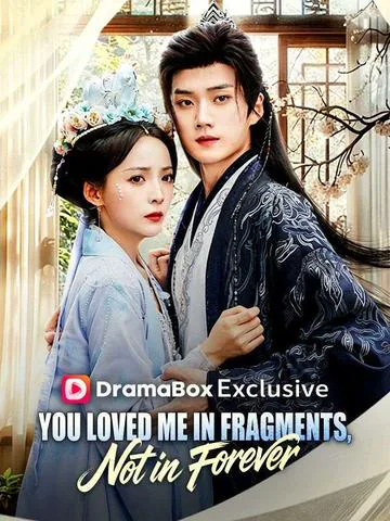 You Loved Me in Fragments, Not in Forever