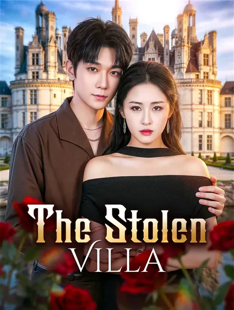 The Stolen Villa