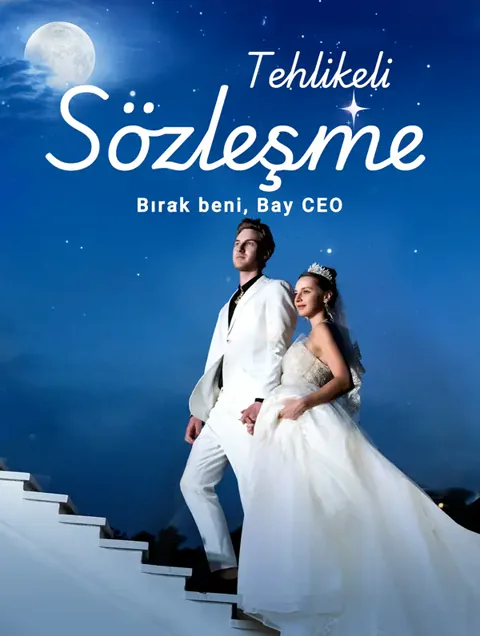 Tehlikeli Sözleşme: Bırak beni, Bay CEO