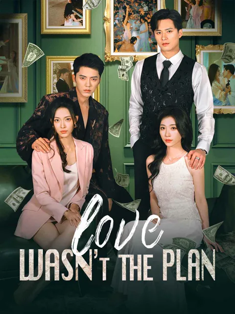 Love Wasn't the Plan(English-dubbed)