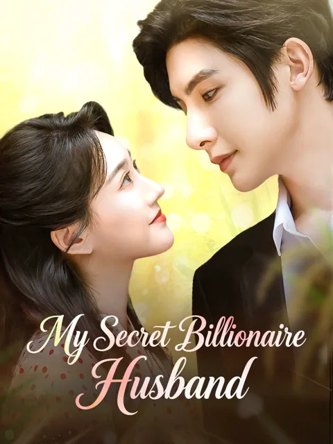 My Secret Billionaire Husband