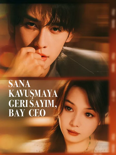 Sana Kavuşmaya Geri Sayım, Bay CEO