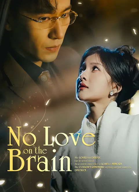 No Love on the Brain
