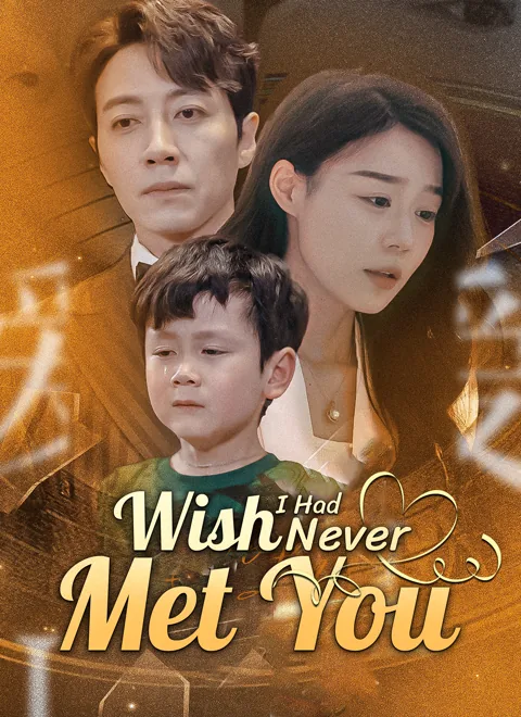 Wish I Had Never Met You