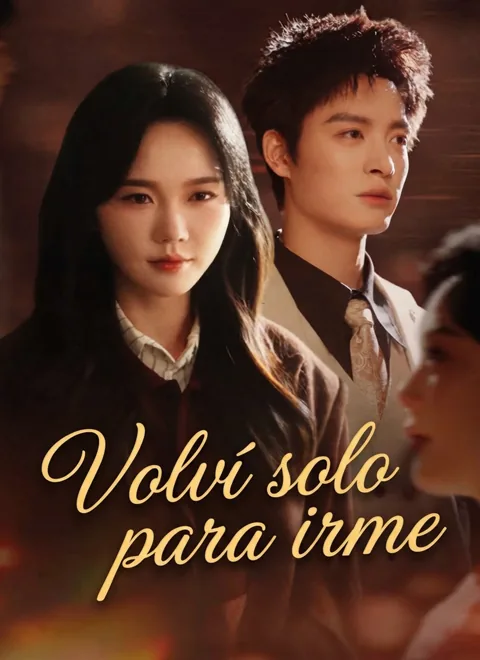Volví solo para irme