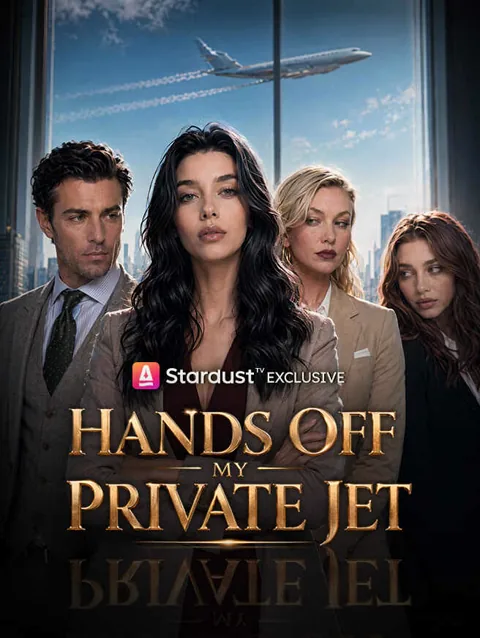 Hands Off My Private Jet
